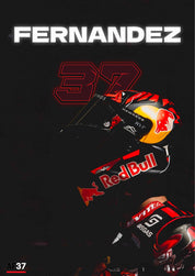 Poster A.Fernandez